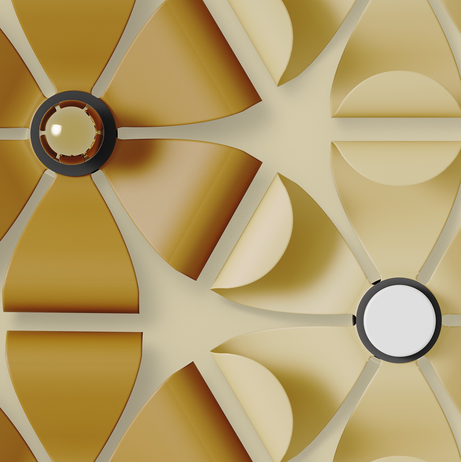 imgi_3_RITA_A1348_detalle